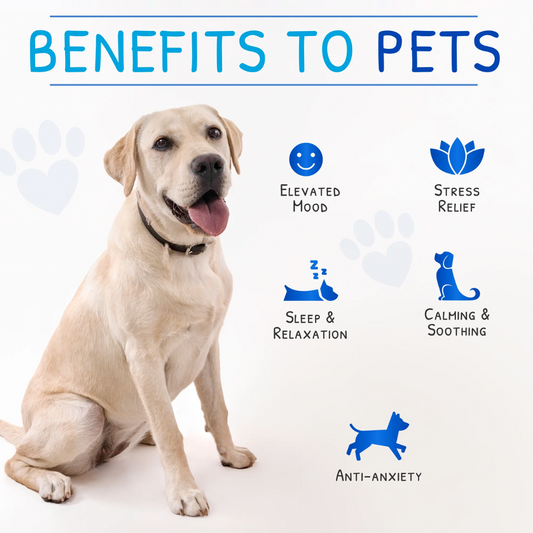 Zen Pet - Calm Drops